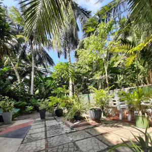 a garden with palm trees and a stone walkway at Susee Villa in Bentota