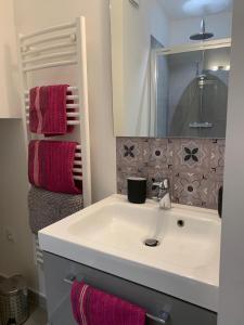 リル・シュル・ラ・ソルギュにあるLa Sorguetteのバスルーム(白いシンク、ピンクのタオル付)