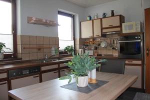 eine Küche mit einem Tisch und einer Topfpflanze darauf in der Unterkunft Gemütliches Bergappartement mit Seeblick in Zödl