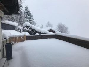 Gemütliches Bergappartement mit Seeblick during the winter