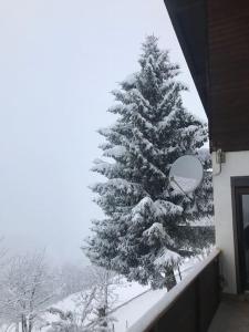 Gemütliches Bergappartement mit Seeblick during the winter