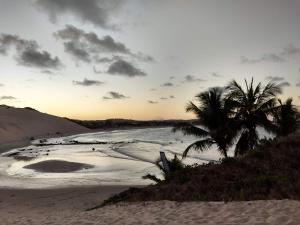 a beach with two palm trees and the ocean at ChezElo in Extremóz