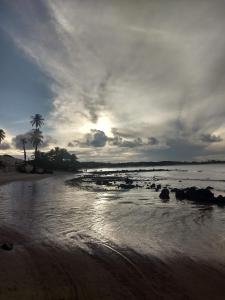 a beach with a palm tree and the ocean at ChezElo in Extremóz