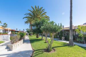 Vonkajšia záhrada v ubytovaní Home2Book Terrace&Pool Apartment Playa del Inglés