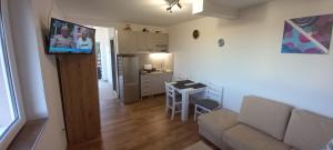 ein kleines Wohnzimmer mit einem Sofa und einer Küche in der Unterkunft Apartman Narcis Polje 3 in Divčibare