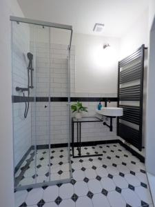 W łazience znajduje się prysznic i umywalka. w obiekcie Bella Casa w mieście Mnichovo Hradiště