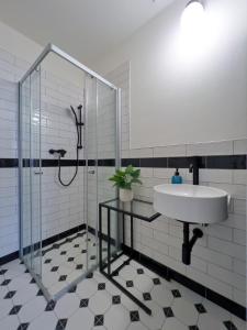W łazience znajduje się umywalka i przeszklony prysznic. w obiekcie Bella Casa w mieście Mnichovo Hradiště