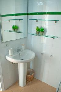 Koupelna v ubytování Apartamento Ponent 6