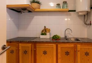 Kuchyň nebo kuchyňský kout v ubytování Apartamento Ponent 6