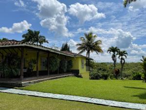 佩雷拉的住宿－Finca El Cortijo Pereira，棕榈树下的黄色房子