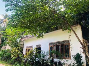 Zahrada ubytování Thaaaru Villa