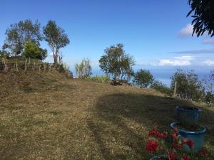 聖丹尼斯的住宿－Gîte rural _ vue Océan _ des bateaux dans le ciel，一座小山,上面有植物和花