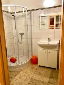 uma casa de banho com um chuveiro e um lavatório. em Seefeld-apartman em Seefeld in Tirol