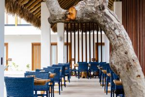 uma fila de cadeiras e mesas num restaurante em Mikiki Lifestyle Hotel em Barra Grande