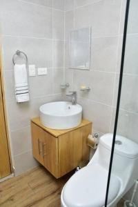 a bathroom with a sink and a toilet at ocupado favor no reservar in Santo Domingo
