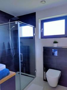 美國魯穆尼卡的住宿－Villa Alex，一间带玻璃淋浴和卫生间的浴室