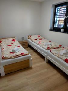 een kamer met 3 bedden in een kamer met een raam bij Villa Alex in Veľká Lomnica