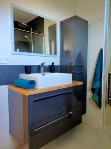 a bathroom with a sink and a mirror at Villa Alex in Veľká Lomnica