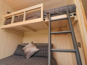 ein Etagenbett in einem winzigen Haus mit einer Leiter in der Unterkunft Hillcrest Shepherds Hut in Preston
