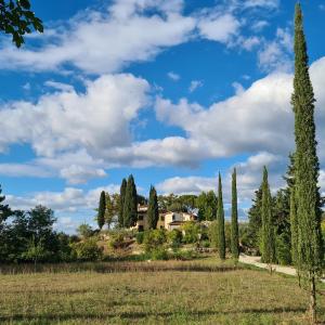 una casa en una colina con árboles y un campo en Casa Colonica en Bucine