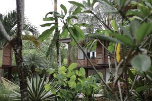 a house in the midst of trees and plants at Outsite Santa Teresa Playa in Santa Teresa Beach