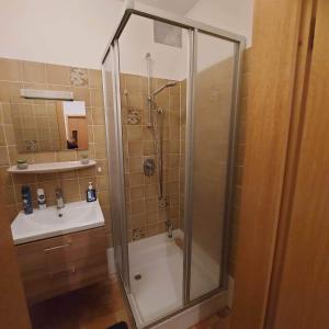 W łazience znajduje się prysznic i umywalka. w obiekcie Selb Ferienwohnungen w mieście Selb