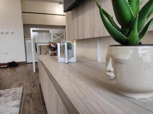 A kitchen or kitchenette at Modessa
