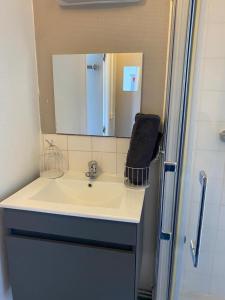 a bathroom with a sink and a mirror at jolie studio in Arras