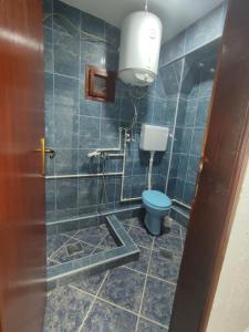 a bathroom with a blue toilet and a light at Apartman Jakša in Žabljak +9 photos