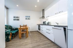 Kuchyň nebo kuchyňský kout v ubytování Apartment Americká 8