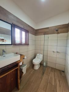 een badkamer met een wastafel en een toilet bij La Casa del Conde in Naranjo