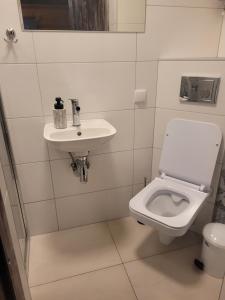 a bathroom with a toilet and a sink at Wynajem Pokoi Krystyna Mróz in Zakopane +39 photos