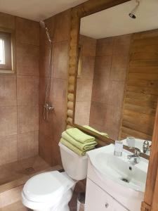 een badkamer met een toilet, een wastafel en een spiegel bij Cabañas Vasconia in Castro
