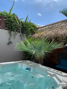 un bain à remous dans une arrière-cour ornée de plantes dans l'établissement TAMANU LODGE, à Punaauia