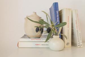 una planta en un jarrón sentado encima de los libros en Traditional Home en Naousa