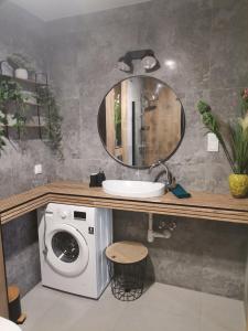 bagno con lavatrice e specchio di Apartament Górska Szarotka a Nowy Targ