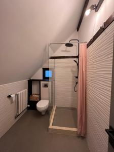 ein Bad mit einer Dusche und einem WC im Dachgeschoss in der Unterkunft Cabana Neagră in Beliş