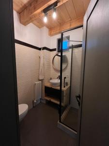 La salle de bains est pourvue d'un lavabo et de toilettes. dans l'établissement Cabana Neagră, à Beliş