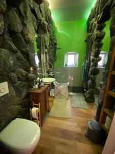 a stone bathroom with a toilet and a green ceiling at Industrial style loft in the heart of wiesbaden in Wiesbaden