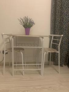 a table and two chairs with a potted plant on it at Residence San Pietro Book sharing in Nola