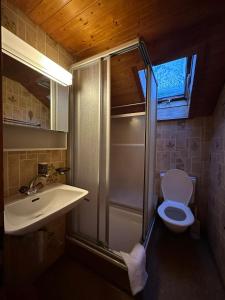 a bathroom with a shower and a toilet and a sink at Hotel Bären Lodge in Kiental