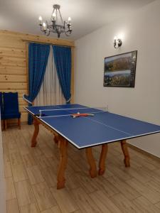 Tenis stołowy w obiekcie Willa Za Potokiem Komfortowe apartamenty w sercu Bukowiny Tatrzańskiej lub pobliżu