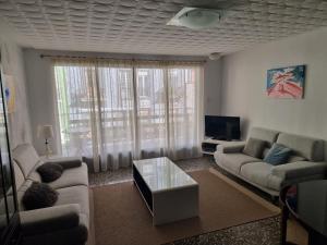 a living room with couches and a tv at Apartamento Ruzafa in Valencia