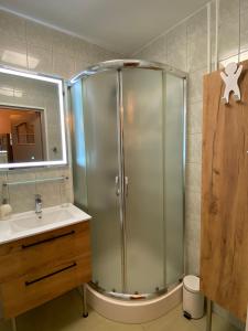 uma casa de banho com um chuveiro e um lavatório. em Apartament Golden Studio em Mielec