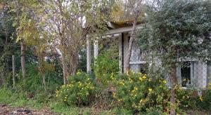 una vecchia casa con dei fiori davanti di La Casa di Tara B&B Armonia e Natura a Recanati