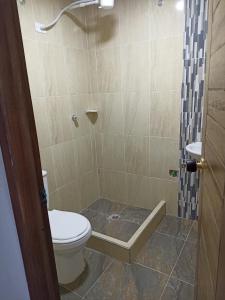 a bathroom with a toilet and a shower at HOTEL TOTA ELISEO PLAYA BLANCA LAGO DE TOTA in Tota +98 photos