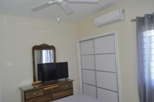 TV o dispositivi per l'intrattenimento presso Jamaica Tranquility