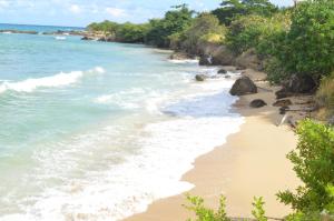 una spiaggia sabbiosa con oceano e alberi di Jamaica Tranquility a Lucea