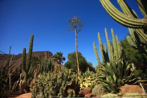 Fotografia z galérie ubytovania Cozy Bungalow Maspalomas Green v destinácii Maspalomas