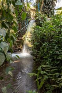 a waterfall in the middle of a jungle at Pousada das Brumas in Brumadinho